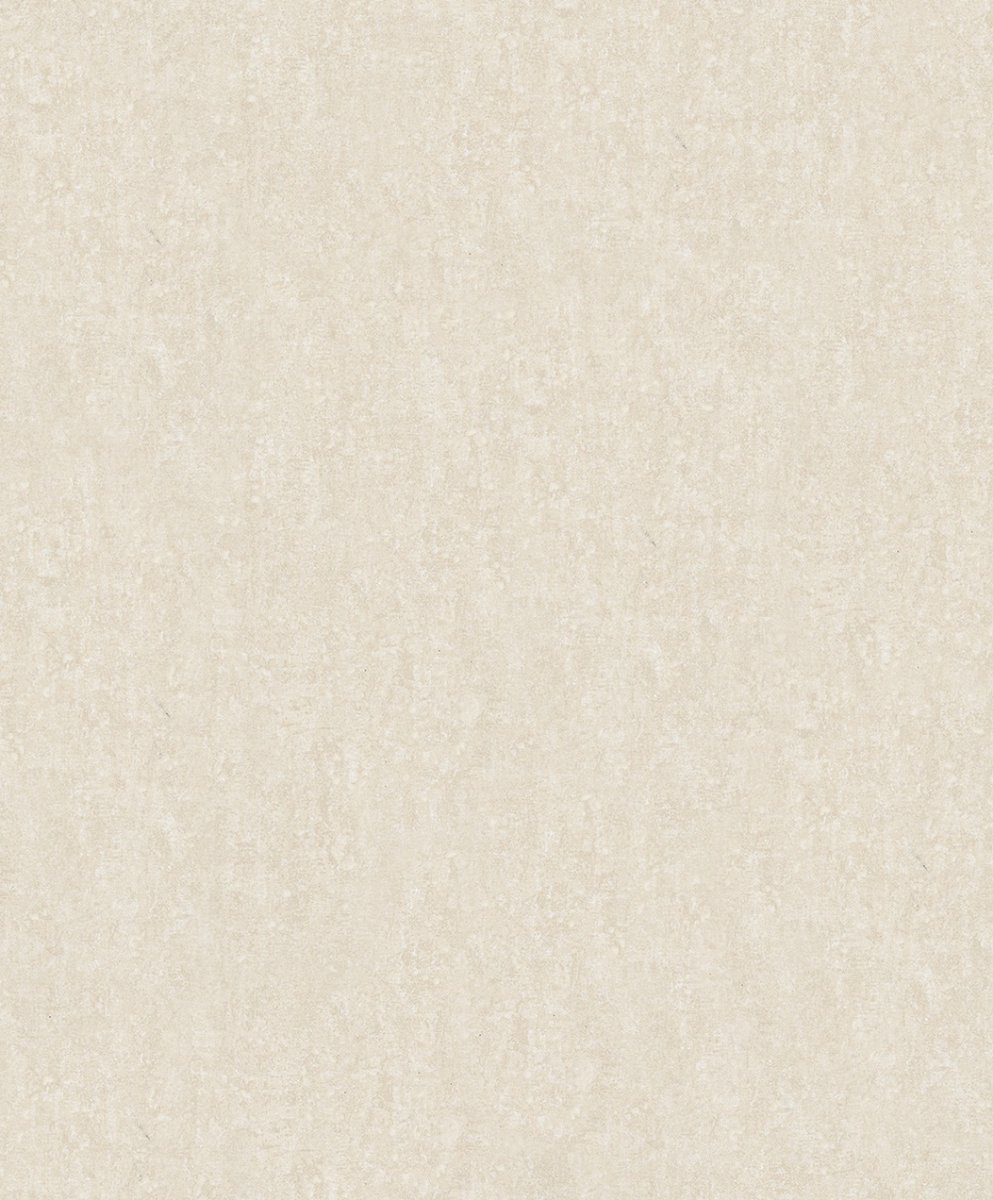 Behang - Betonlook - Lichtgrijs - Gepolijst - Modern - Industrieel - Japandi - Woonkamer - Slaapkamer