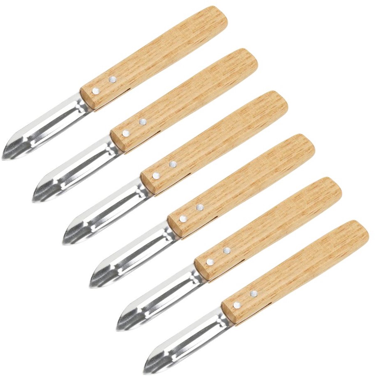 Set van 6 Econoom Nature Schilmesjes 16 cm Nirosta