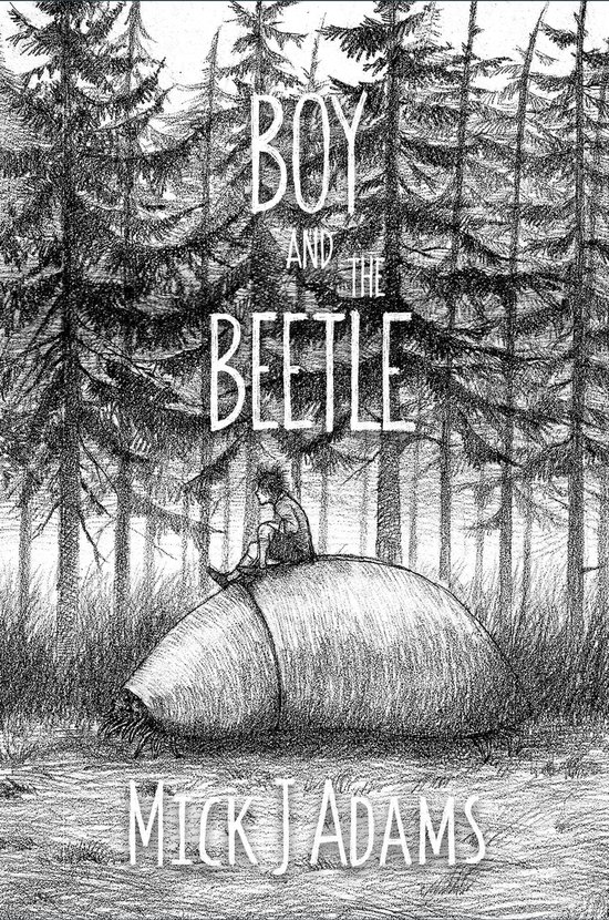 Boy and the Beetle - cover