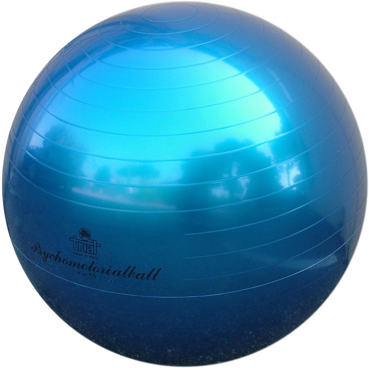 Fysiobal Trial V16 - Ø65 cm