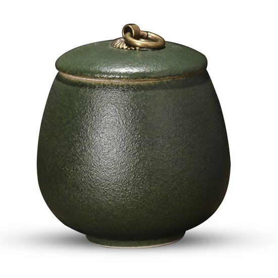 Donkergroene urn met textuur en gouden handvat op een witte achtergrond.