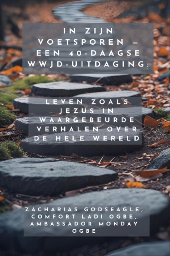 Boekomslag met tekst: In zijn voetsporen - Een 40-daagse WWJD-uitdaging: Leven zoals Jezus in waargebeurde verhalen over de hele wereld.