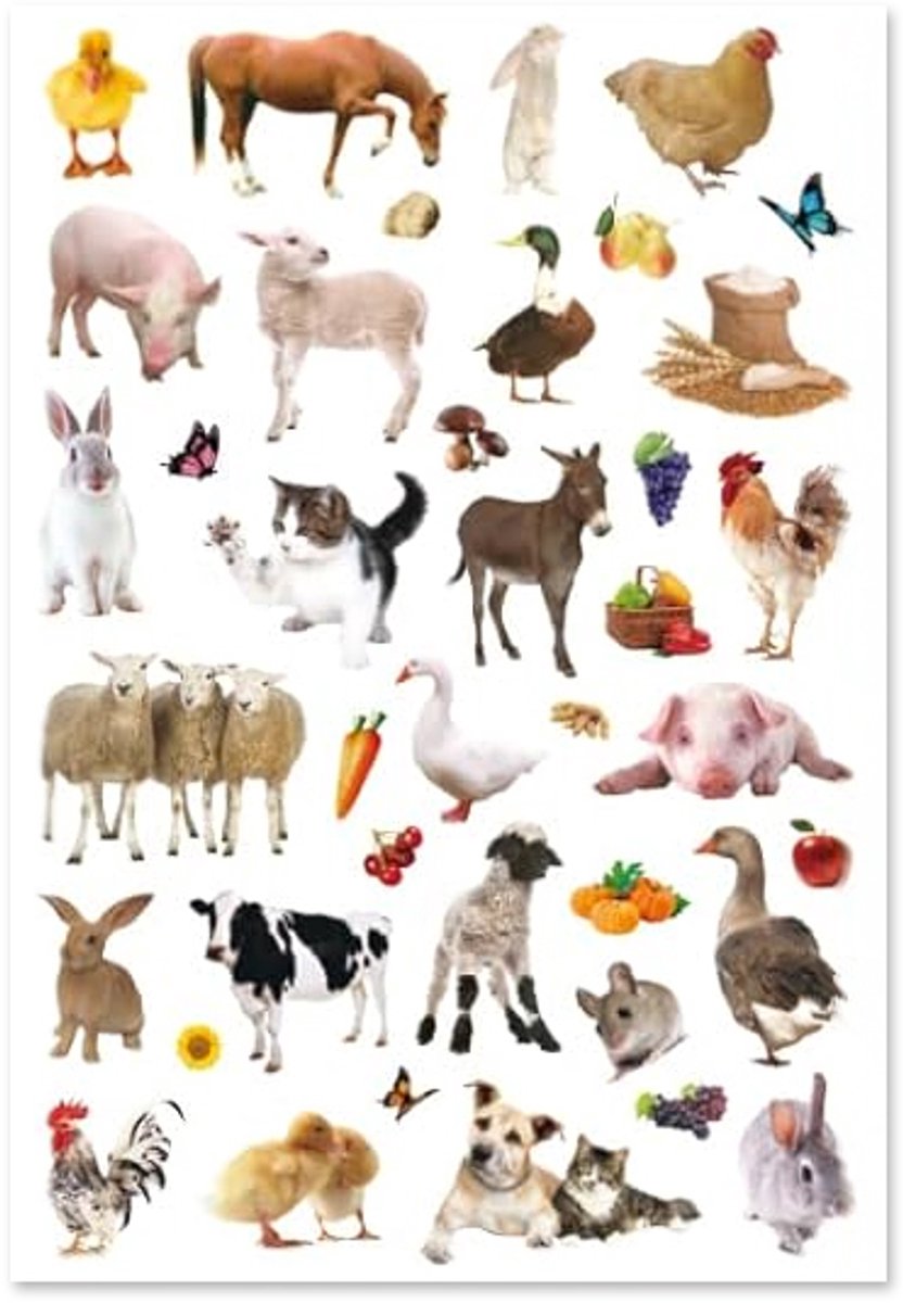 Boerderijdieren Stickers - 4 Grote Stickervellen Boerderij - Stickers Kind — afbeelding 5