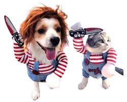 Top 10 honden- en kattenkleding en accessoires 2026: Joya Pets Horrorpop verkleedkostuum, maat S