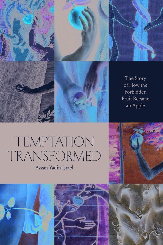 Temptation Transformed - cover