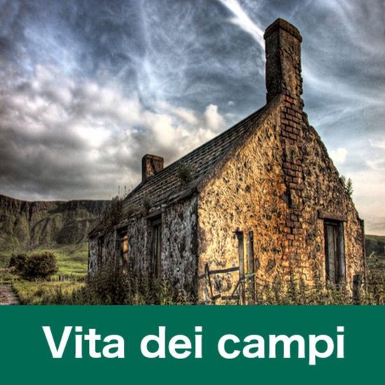 Vita dei campi - cover
