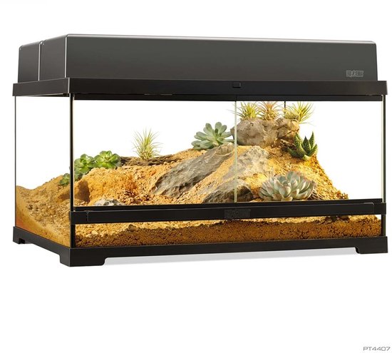Zwart terrarium met glazen deuren, rotsen en vetplanten in een woestijnachtige omgeving.