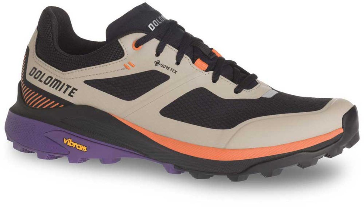 Dolomite Nibelia Goretex Wandelschoenen Grijs EU 39 1/2 Man