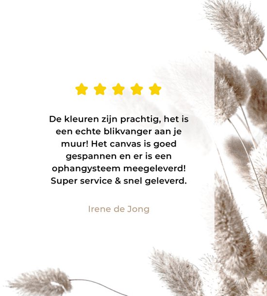 Tableau sur toile Plantes - Plumes - Wit - 120x80 cm - Décoration murale