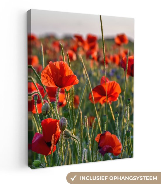 Peintures Fleurs sur Toile - Coquelicot - Nature - Bloem - Toile - Décoration murale - 120x160 cm
