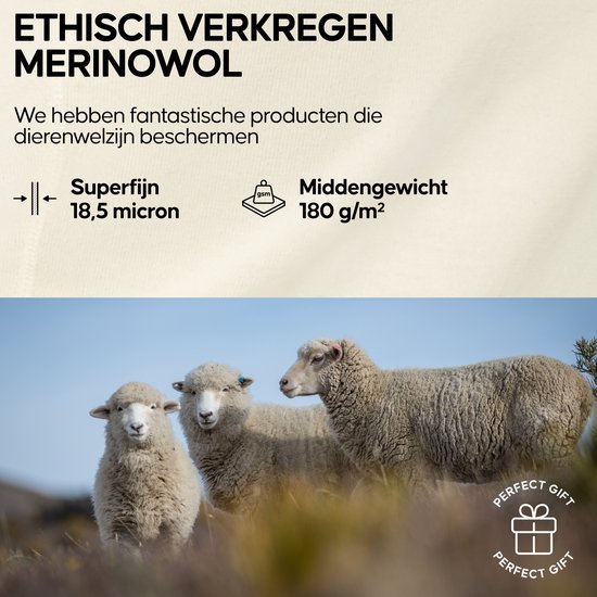 DANISH ENDURANCE Thermo Leggings - Dames - Merino Wol - Thermobroek - Gebroken Wit - Maat L — afbeelding 5