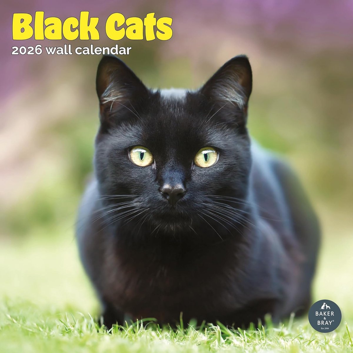Zwarte Katten Kalender 2027