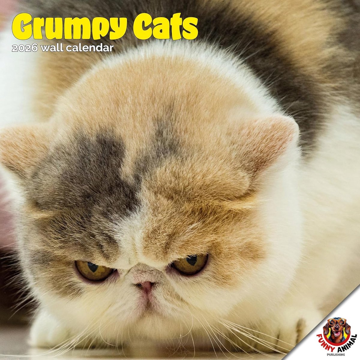 Grumpy Cat Kalender 2027