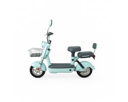 Elektrische Scooter Ecowielen PARIS – Compact, Stil & Betrouwbaar | 600W, 25 km/u