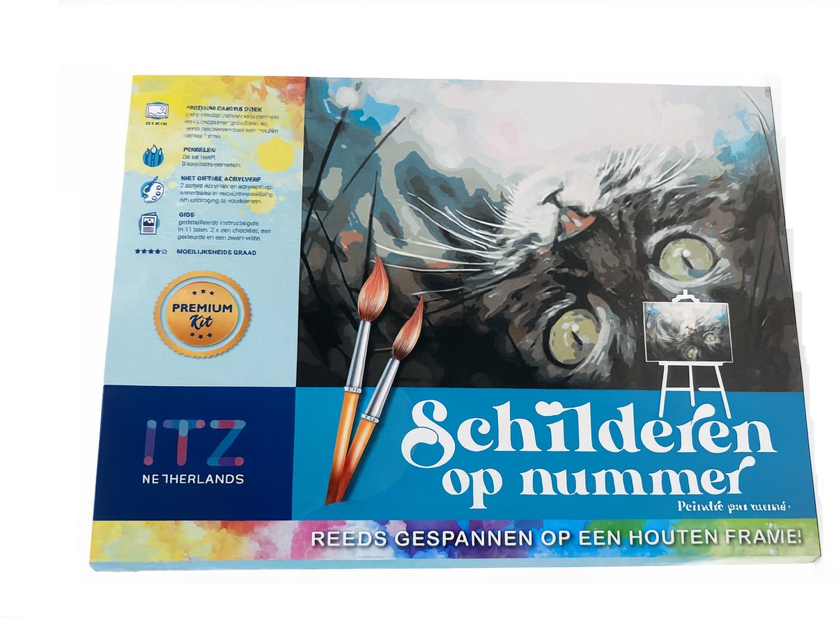 Protsvetnoy Paint by Numbers | Dreaming Kitty - ME1074E