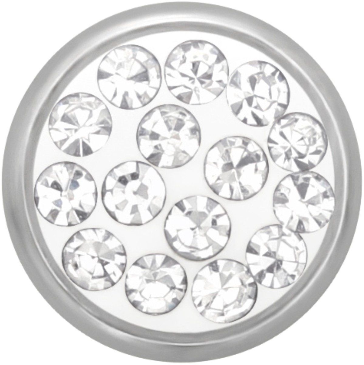 Ronde 6 mm Oorstekers van Hoogglans Chirurgisch Staal met Kristal
