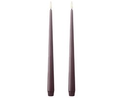 Ester & Erik Led Taper kaars 30cm winter rose set van 2