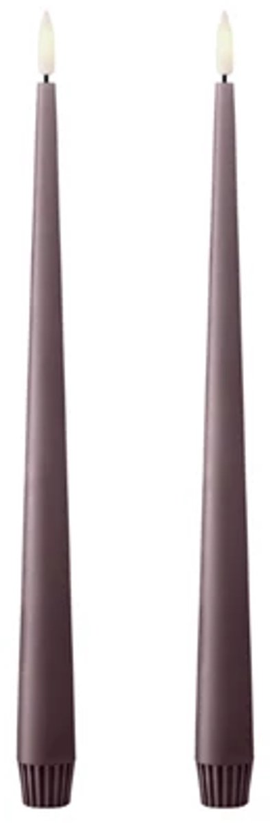 Ester & Erik Led Taper kaars 30cm winter rose set van 2