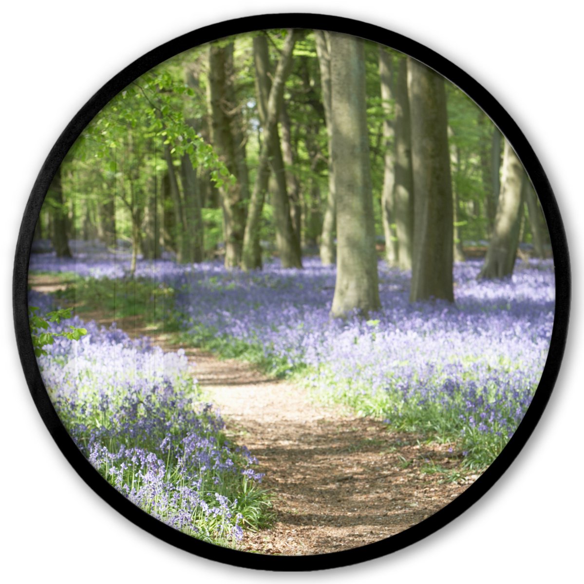 FrameYourWall Poster in lijst Rond - Fotolijst 40x40 cm - Posters - Bos - Pad - Bloemen - Paars - Groen - Natuur - Ronde posterlijst zwart - Decoratie - Wanddecoratie woonkamer - Muurdecoratie slaapkamer