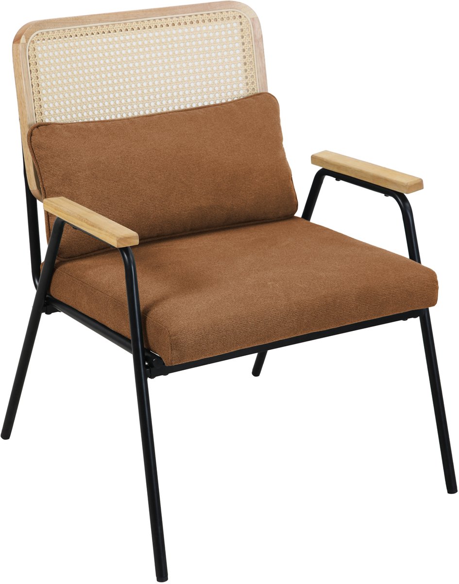 SVITA THEA loungestoel - rotan stoel retro stoel rotan bruin