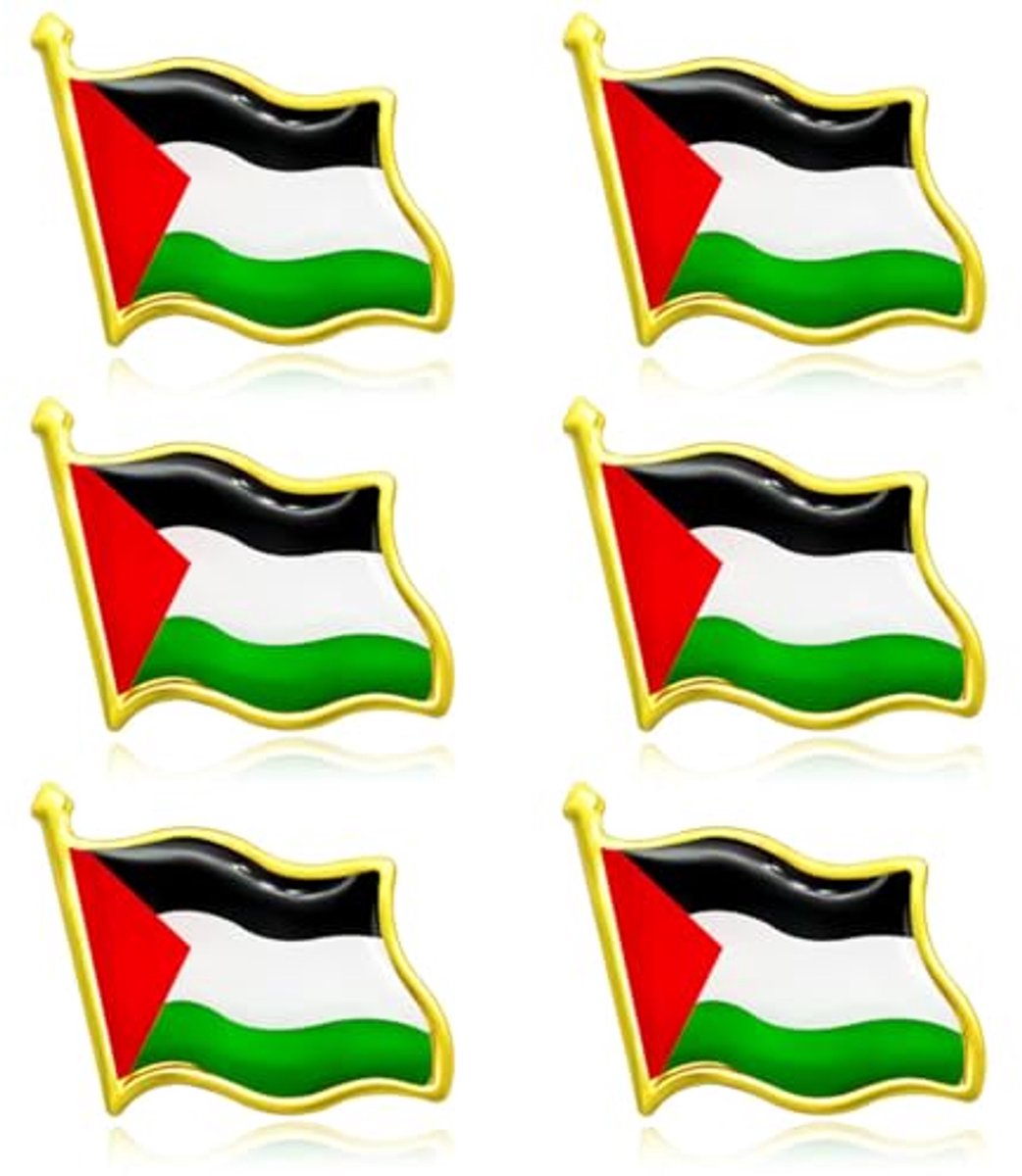 Palestina Vlag Pin Badge Set - 6 Stuks Nationale Pins voor Patriottische Activiteiten