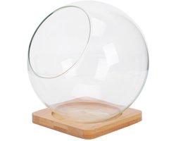Terrarium pour plantes succulentes Operitacx, Terrarium, Glas, Bouteilles Micro -paysage, Vase rond, Centre de table, Boule de terrarium, 13,5 cm, Verre de terrarium, Jardinière en Verres suspendue