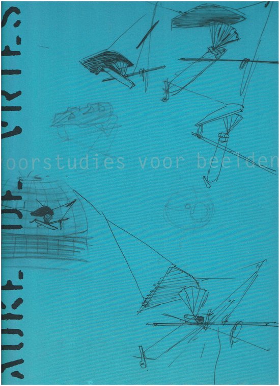 Auke de Vries