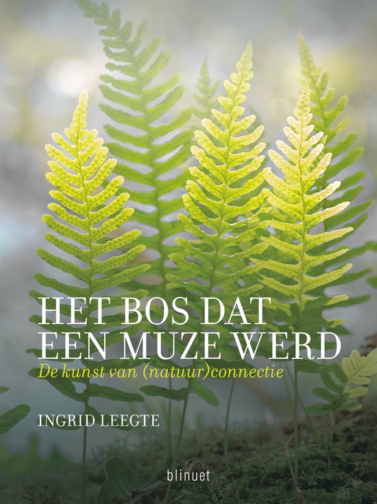 Het bos dat een muze werd - cover