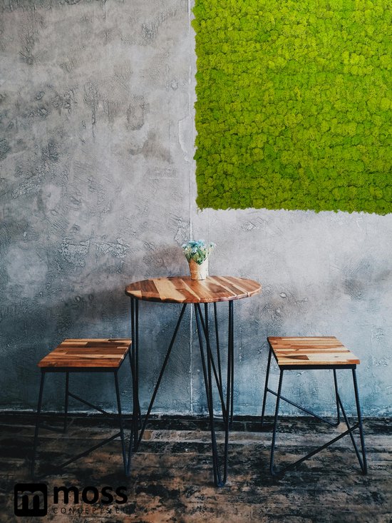 MOSS concepts Moswand paneel rendiermos springgroen