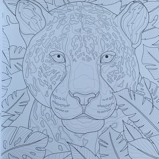DécoTime livre de coloriage - ''animaux'' - livre de coloriage pour adultes - 128 pages - livre de coloriage XL adultes - crayons de couleur - feutres - livre de coloriage pour adultes