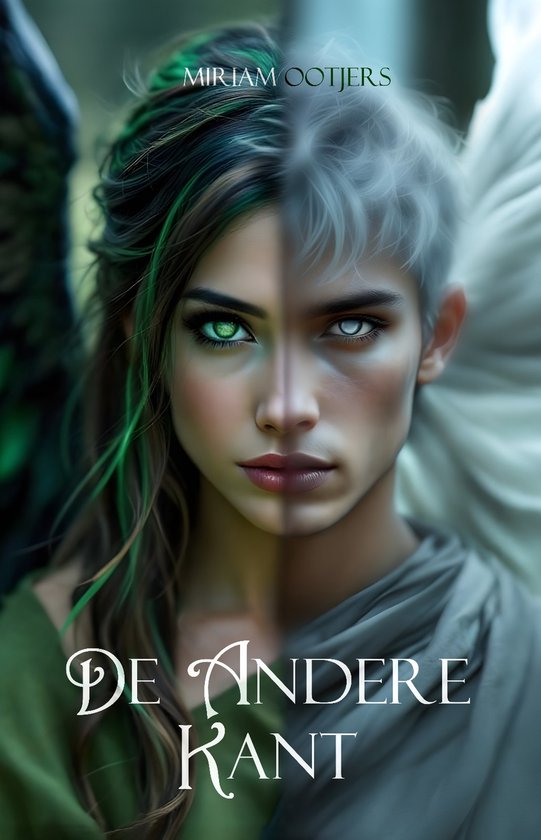 De andere kant - cover