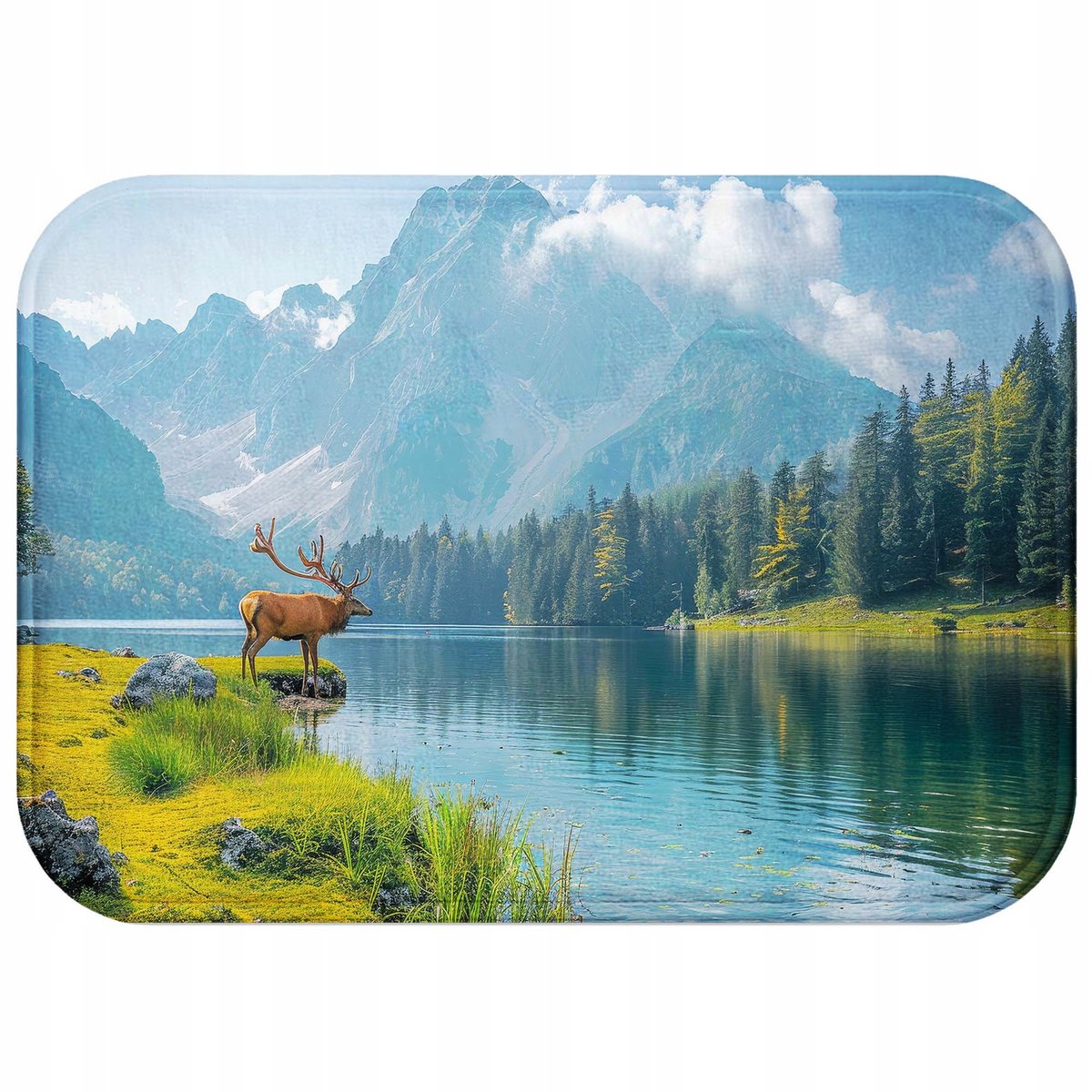 Antislip Badkamermat Sneldrogend 40x60 Rechthoekig Stijlvol