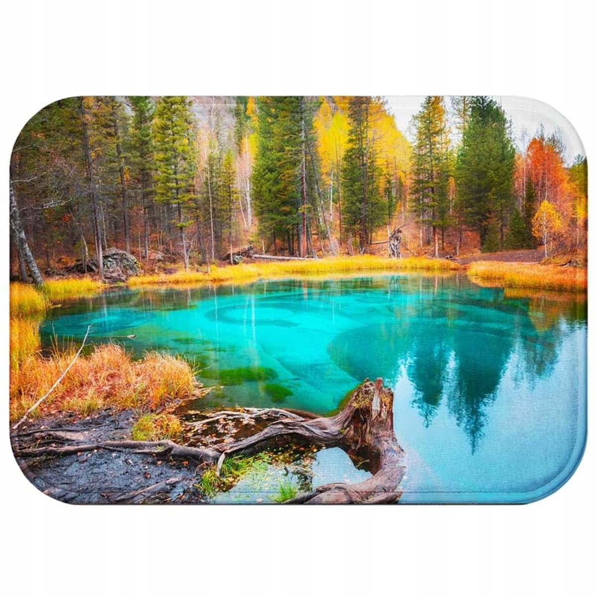Zachte Antislip Badmat 60x40 cm - Sneldrogend & Wasbaar