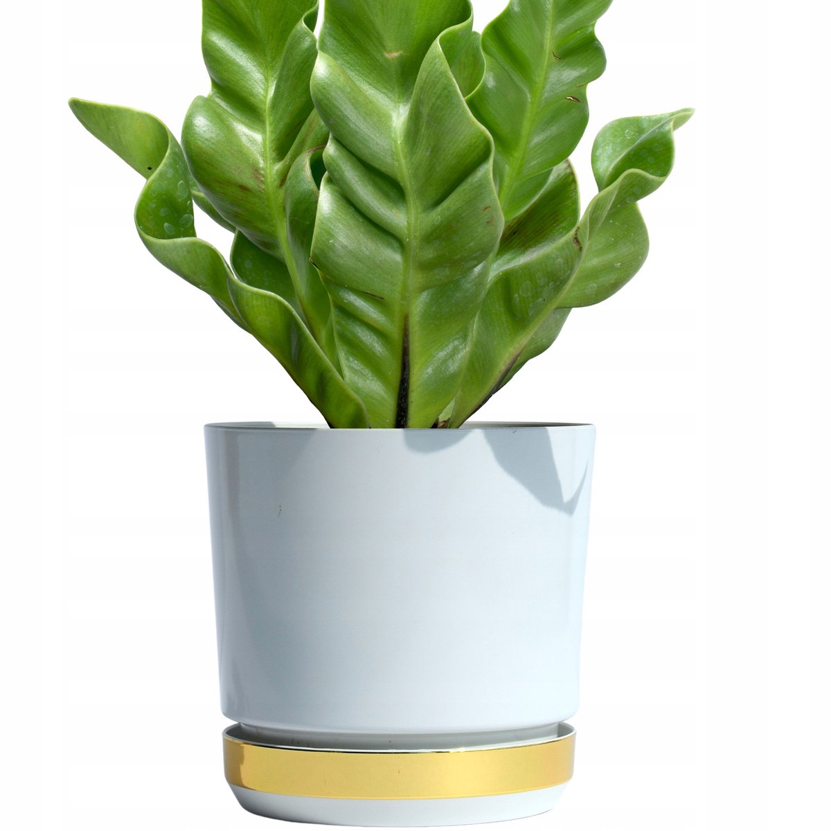 Glamour Duo Pot Wit Goud, Hoge Glans, 16cm
