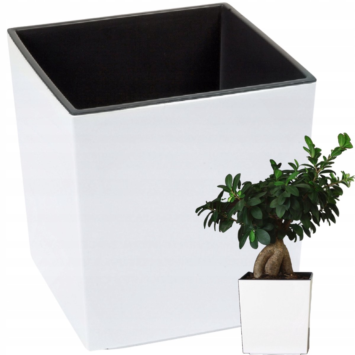 Lamela Juka Pot Hoogglans Wit 40x40cm met Inzetstuk