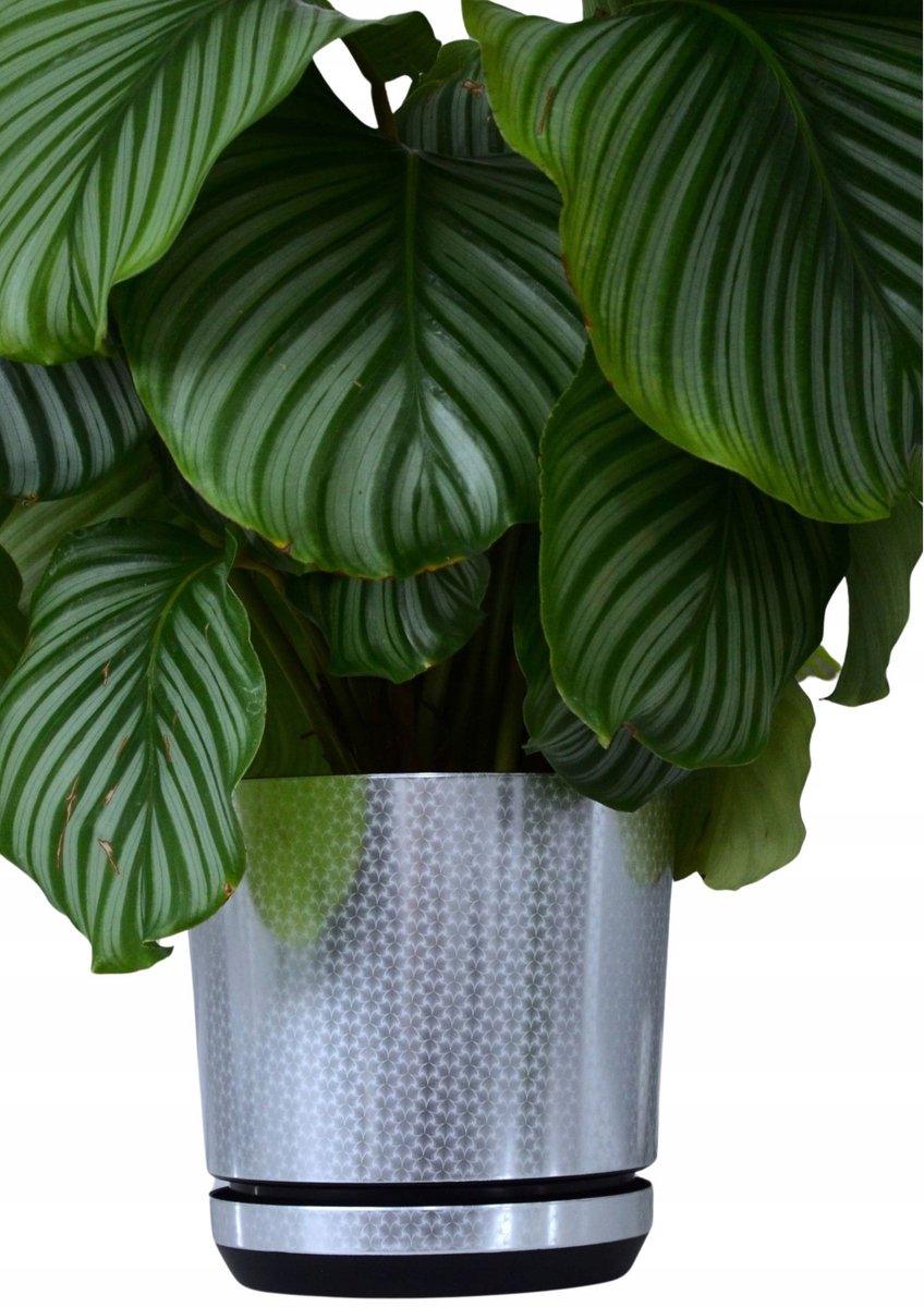 18 cm Sieraden Pot met Schotel - Zilver Art Deco Glamour
