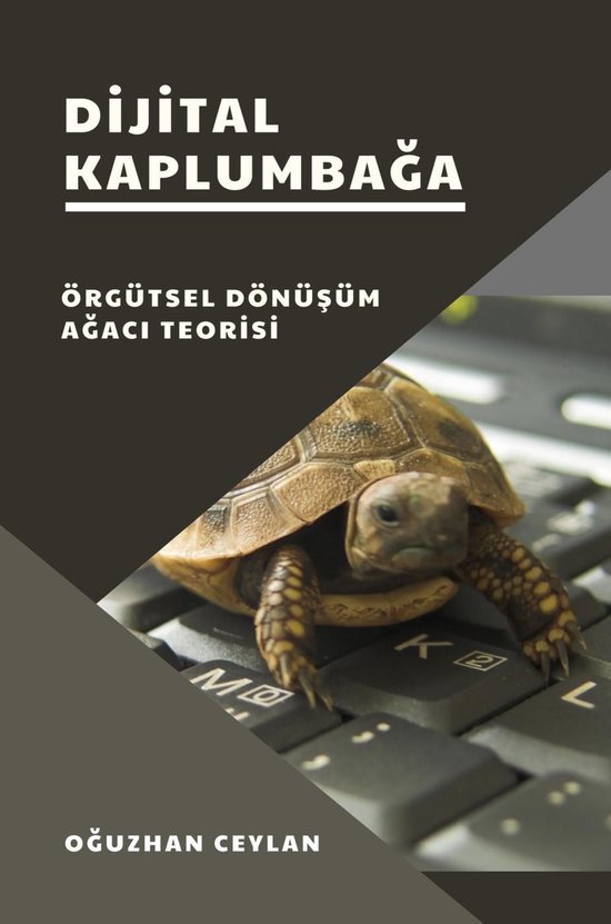 Dijital Kaplumbağa - cover