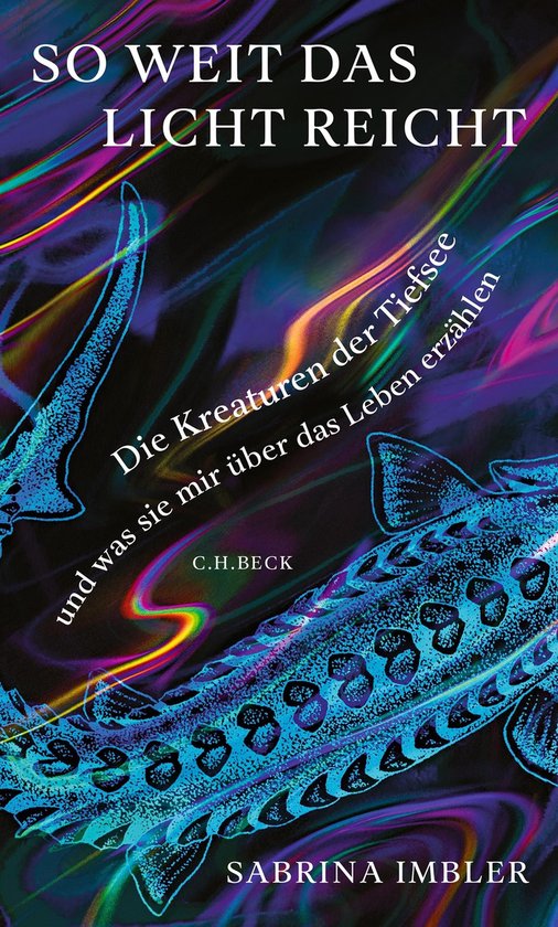 So weit das Licht reicht - cover
