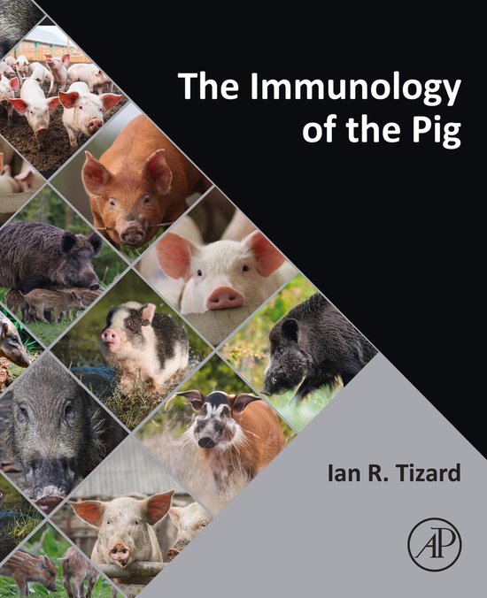 The Immunology of the Pig - cover