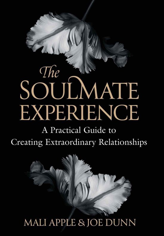 The Soulmate Experience - cover