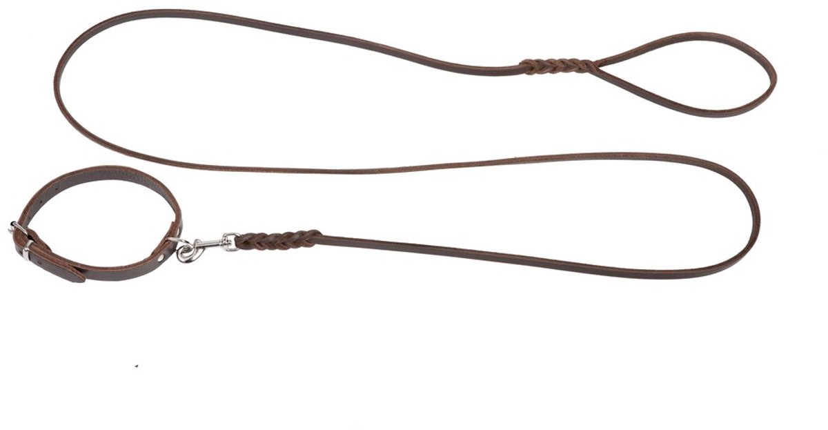 Dingo Gear Lederen Halsband & Lijn Set - Bruin
