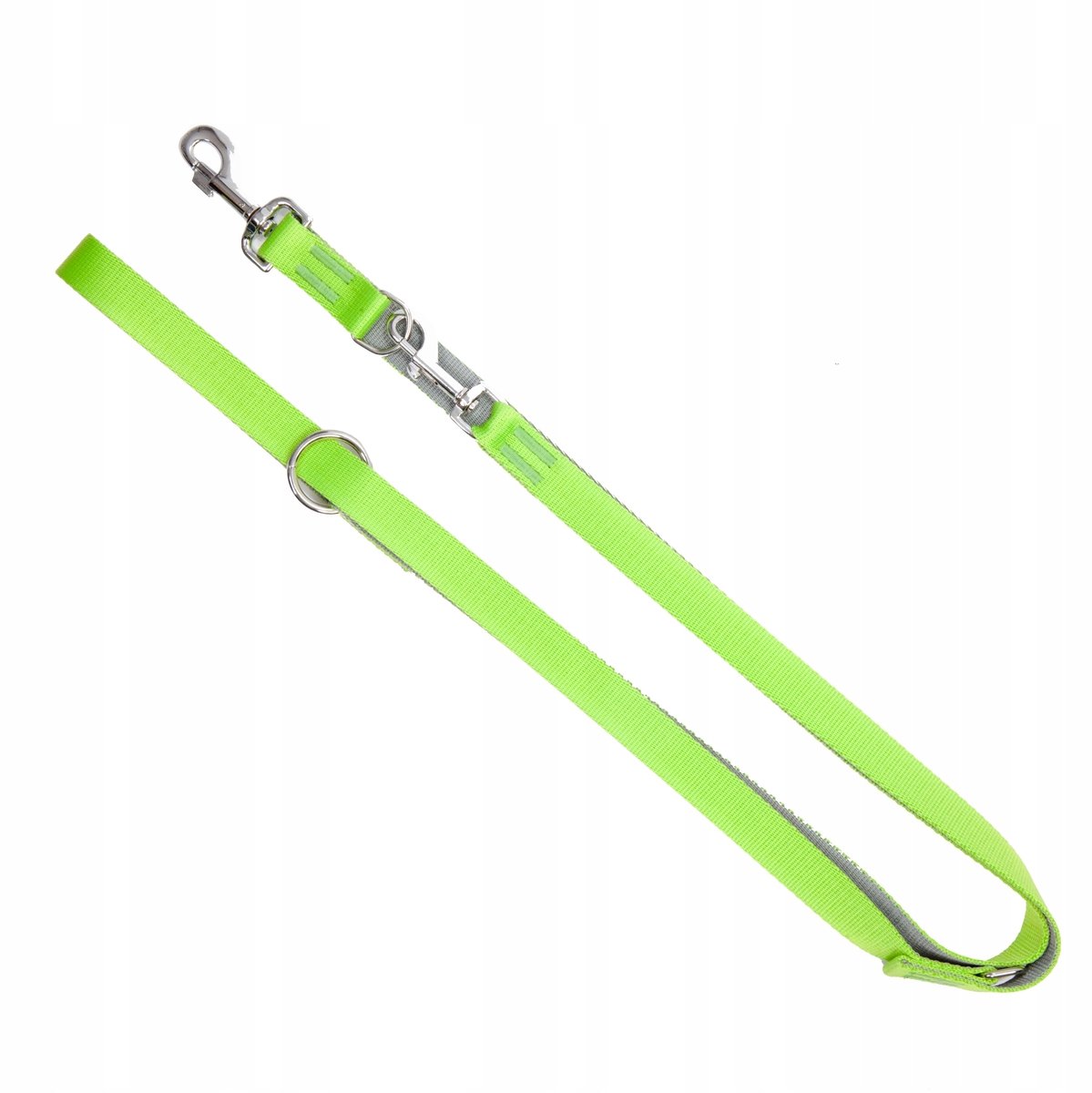 Dingo Energy Silver Verstelbare Hondensnoer - Groen, 2.2m