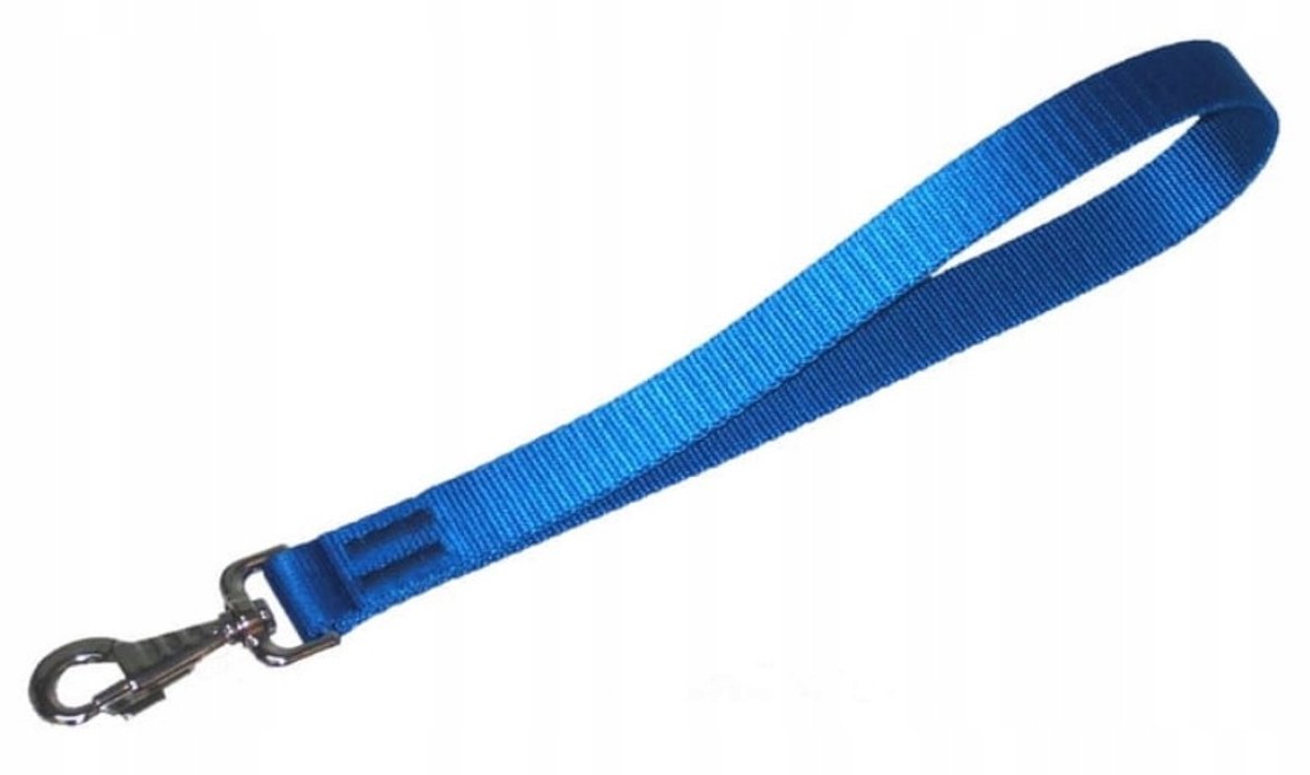 Dingo Korte Blauwe Hondensnoer met Handvat (2,5 x 40 cm)