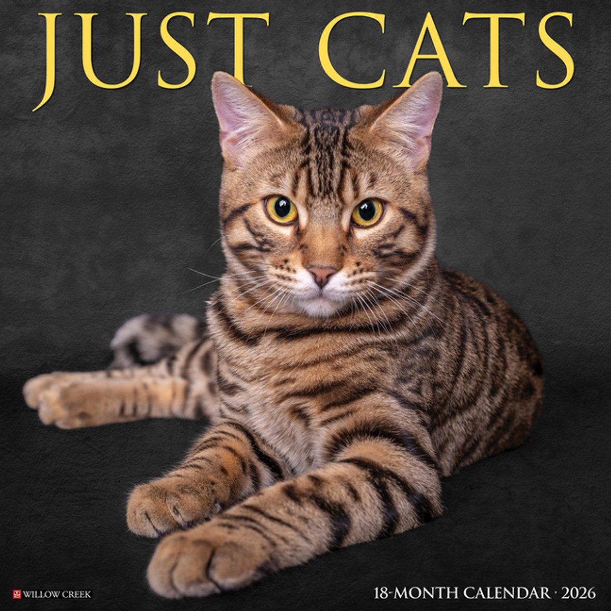 Katten Kalender 2026
