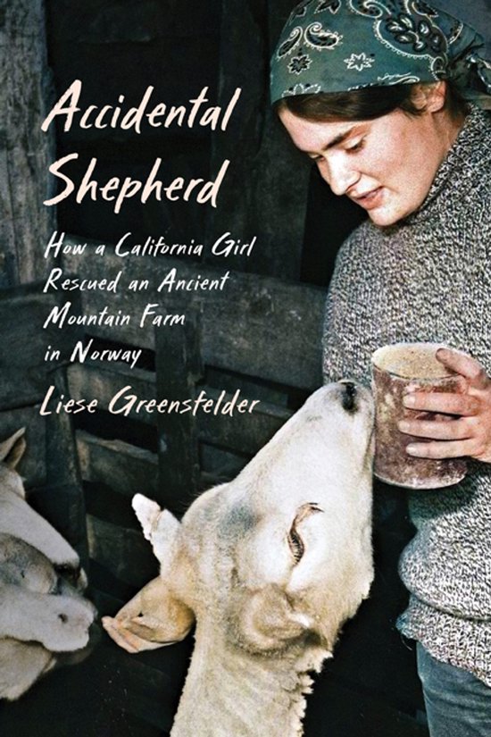 Accidental Shepherd - cover