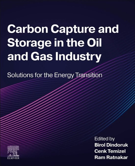 Carbon Capture and Storage in the Oil and Gas Industry | 9780443157615 ...