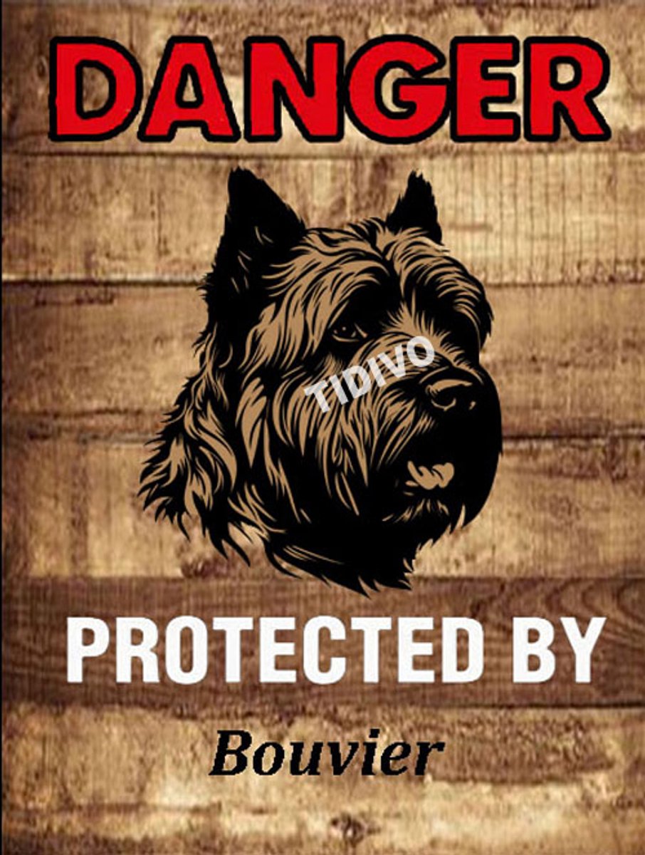 Bouvier 19