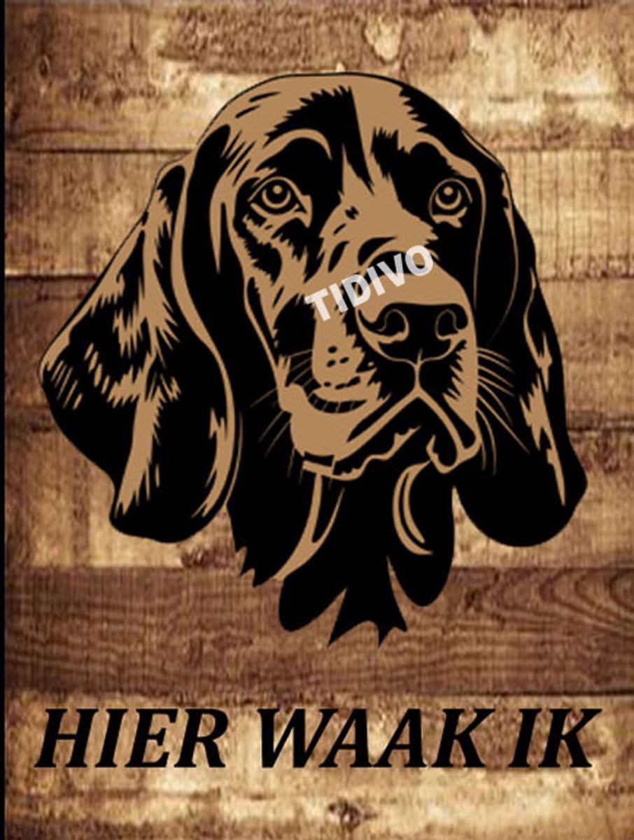 Bluetick Coonhound 20