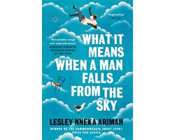 Omslag van What It Means When A Man Falls From The Sky