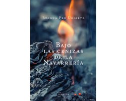 NARRATIVA 5 - Bajo las cenizas de la Navarrería